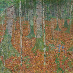 Bosque de abedules