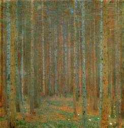 Bosque de abetos I