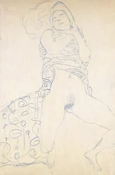 Desnudo