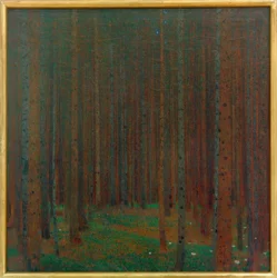 Bosque de abetos I