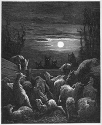 Les Loups et les Ebis - de 