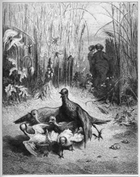 La alondra y sus crías con el dueño de un campo - de 