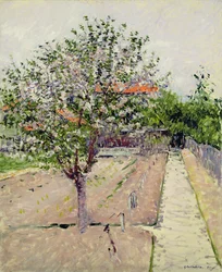Manzano en flor, c.1885