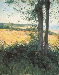 Junto al mar, Normandía, 1884