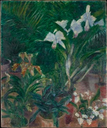 Orquídeas en el invernadero del Petit Gennevilliers, 1893