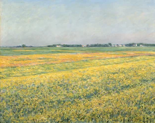 La llanura de Gennevilliers, campos amarillos, 1884