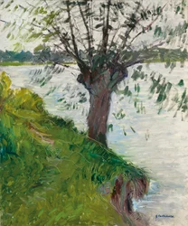 Sauce junto al río; Saule au bord de la rivière, c. 1891