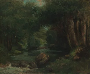 Un arroyo en el bosque