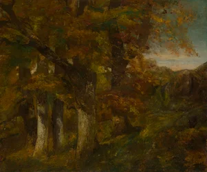 Paisaje boscoso