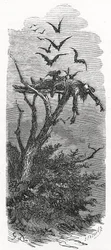 Un entierro celestial celta, 1866