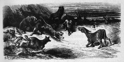 Animales enfermos de la peste. Fábulas de Jean de La Fontaine (1621-95). Ilustración de Gustave Doré