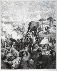 Don Quijote ataca un rebaño de ovejas, creyendo enfrentarse al ejército de Alibanfaron de Taprobana - de «Don Quijote de la Mancha» de Miguel de Cervantes (1547-1616) (Don Quijote) - xilografía según un dibujo de Gustave Doré