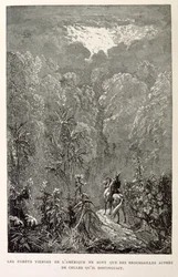 Ilustración de bosque americano. de La legende de Croque-Mitaine.