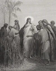 Jesús y sus discípulos en el campo de maíz, ilustración de 