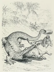 "Las aventuras del Barón de Munchausen" (Munchhausen): El intrépido Barón de Munchausen perseguido por un león se cruza en el camino de un enorme cocodrilo que devorará al león. Ilustración de Gustave Doré Finales del siglo XIX.