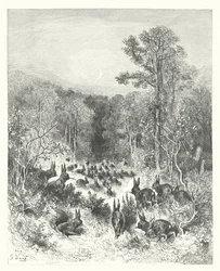 Las Fábulas de La Fontaine: Los conejos (grabado)