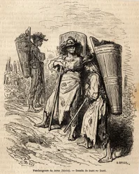 Los recolectores de Xeres. Dibujo de Gustave Doré, para ilustrar su viaje a España en 1862, con Ch. Davillier. Grabado en 