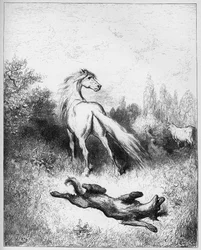 El caballo y el lobo - de "Fábulas" de Jean de La Fontaine