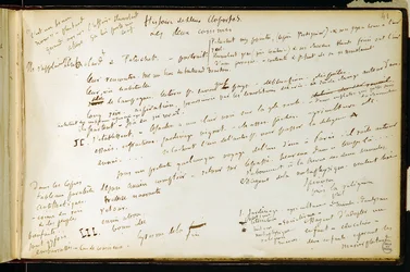 Folio 41 del cuaderno n. 19 Página manuscrita de los borradores de Gustave Flaubert. Planes para Bouvard y Pecuchet. BHVP.
