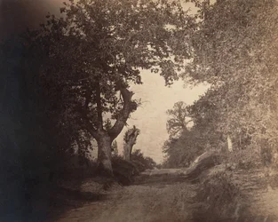 Fontainebleau, camino arenoso ascendente, ca. 1856