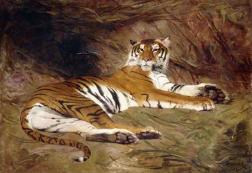 Un tigre reclinado