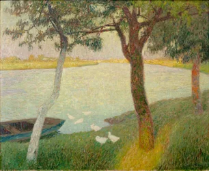 Patos en el río Leie