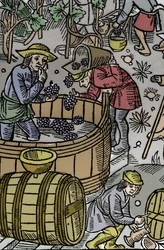 Cosecha - vendimia - Calendario del pastor - Los trabajos de los meses - Octubre - Xilografía del libro de 1496 impreso por Guy Marchant en Troyes - Grabado en madera en "Le grand Calendrier et compost des shepherds" - La cosecha