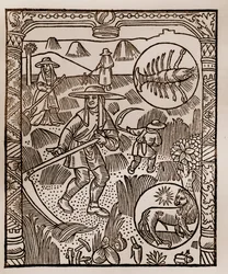 Calendario del pastor - Los trabajos de los meses - Julio - Xilografía del libro de 1496 impreso por Guy Marchant (Guido Mercator) en Troyes - Heno, la siega del heno - Grabado en madera en “Le grand Calendrier et compost des shepherds”