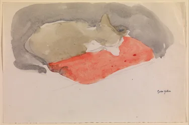 Gato Durmiendo en un Cojín Rojo