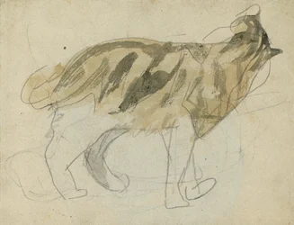 Estudios de gatos (lápiz con acuarela sobre papel)