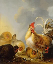 Un Grupo de Aves de Corral