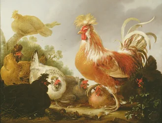 Gallo y gallinas en un paisaje, 1649