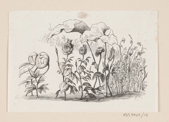 Ilustración para "Las flores de la pequeña Ida" en H.C. Andersen, "Cuentos y Historias", Volumen 1