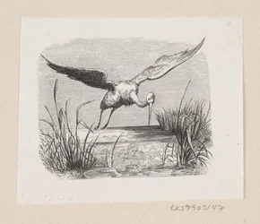 Ilustración para "Las cigüeñas" en H.C. Andersen, "Cuentos y Historias", Volumen 1