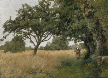 Paisaje de Bretaña