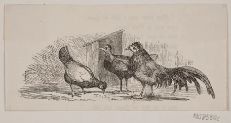 Tres gallinas