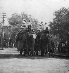 Una princesa punjabí montando un elefante en una procesión, Delhi, India, años 1900