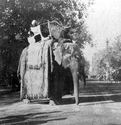 Un elefante fuera de la estación de tren en Delhi, India, 1900s