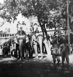 Personal virreinal y su hija participando en la procesión de elefantes, Delhi, India, 1900s