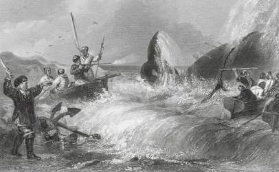 La ballena en la orilla (grabado)