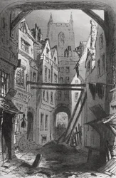 Tom solo, ilustración de 