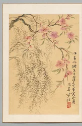Flores de durazno y sauces, 1842