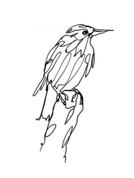 Dibujo abstracto de un pájaro en trazo seco