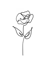 Rosa de una sola línea