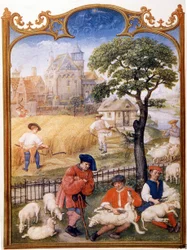 Trabajo de campo, esquilar ovejas y campesinos cosechando trigo. Miniatura atribuida a Memling. Placa extraída del Breviario Grimani del siglo XV. Biblioteca Marciana, Venecia
