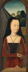 Joven con un clavel, c.1485-90