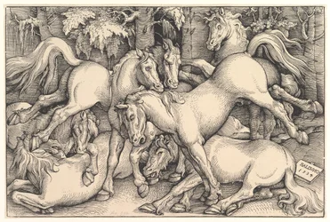 Grupo de siete caballos, 1534