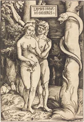 Adán y Eva, 1511