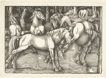 Grupo de seis caballos de combate