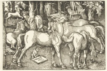 Grupo de siete caballos y un mono